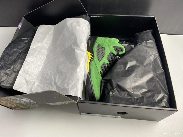 Rep SE Oregon 5 CK6631-307 Air Jordan Ducks 0818